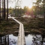 pexels-photo-1009354