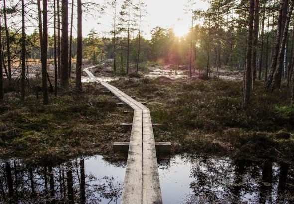 pexels-photo-1009354