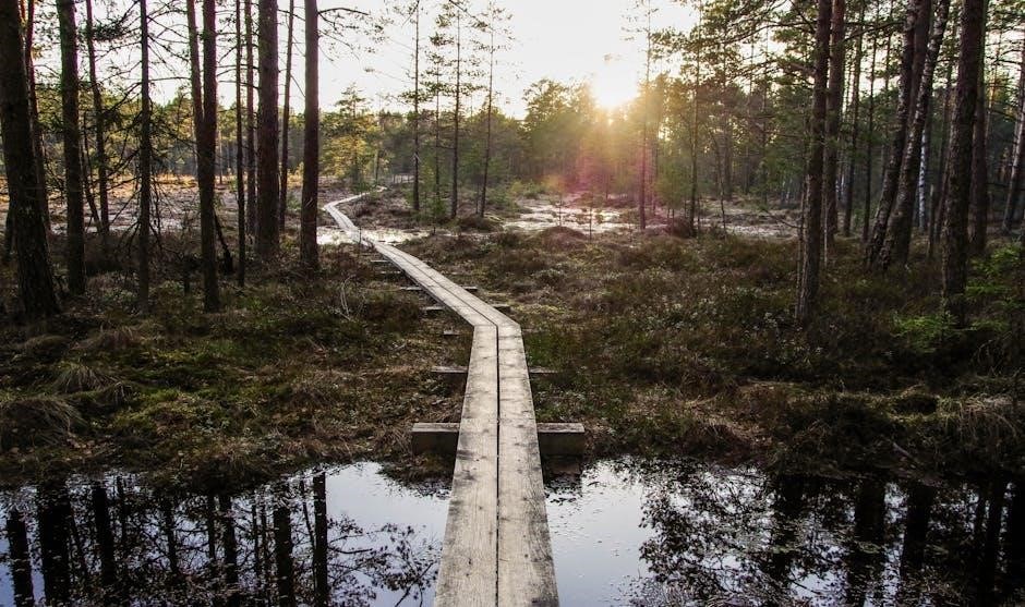 pexels-photo-1009354