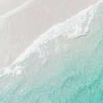 pexels-photo-35058452