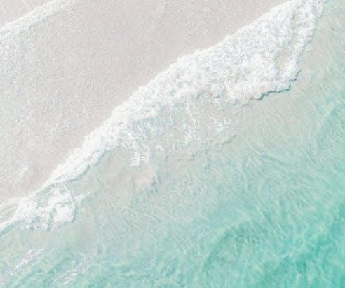 pexels-photo-35058452