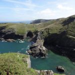 pexels-photo-35561517