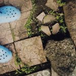 pexels-photo-9313792