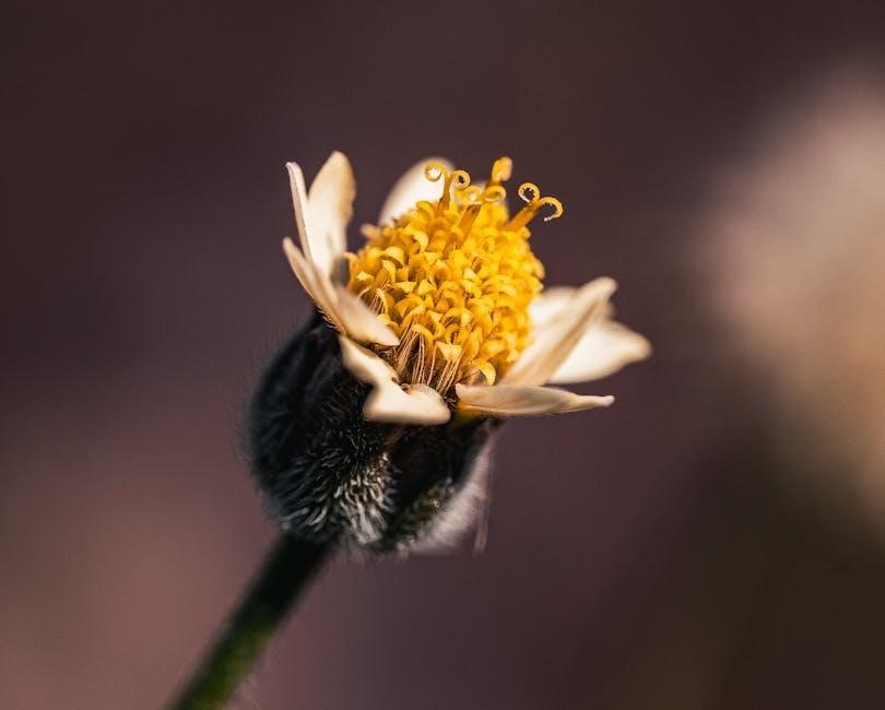 pexels-photo-31225243