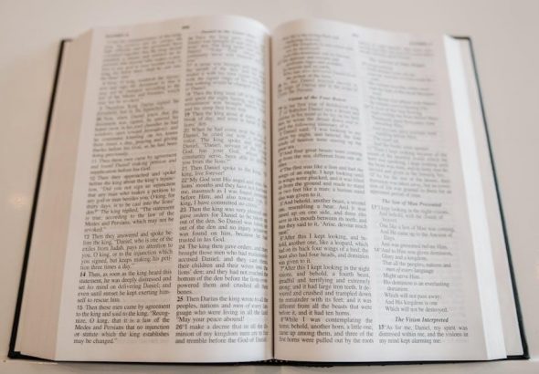 pexels-photo-8814959